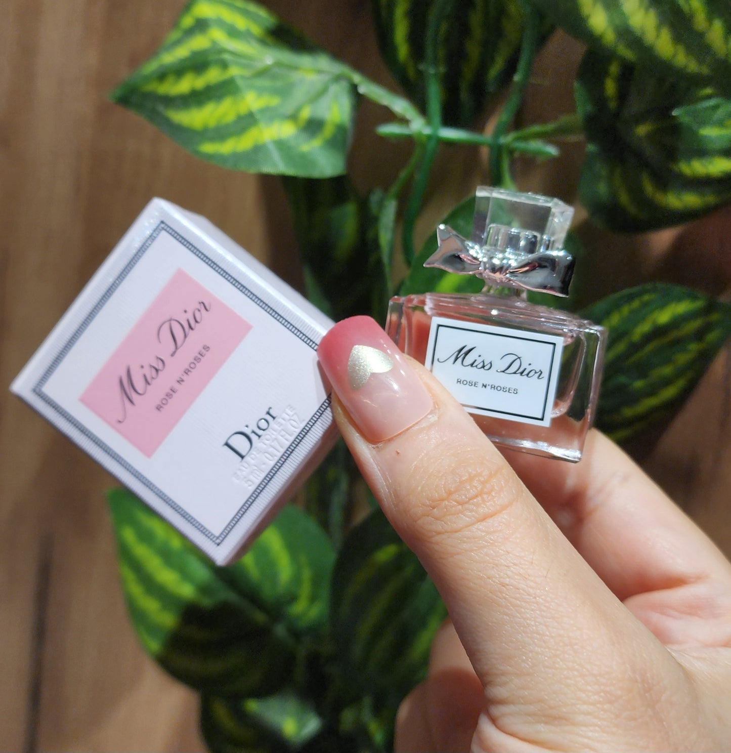 Miniature Miss Dior Rose N'Roses