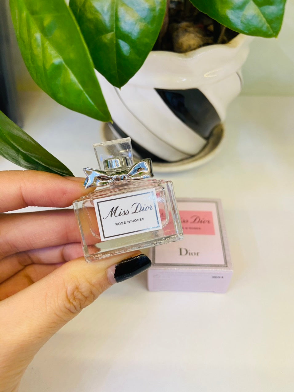 Miniature Miss Dior Rose N'Roses