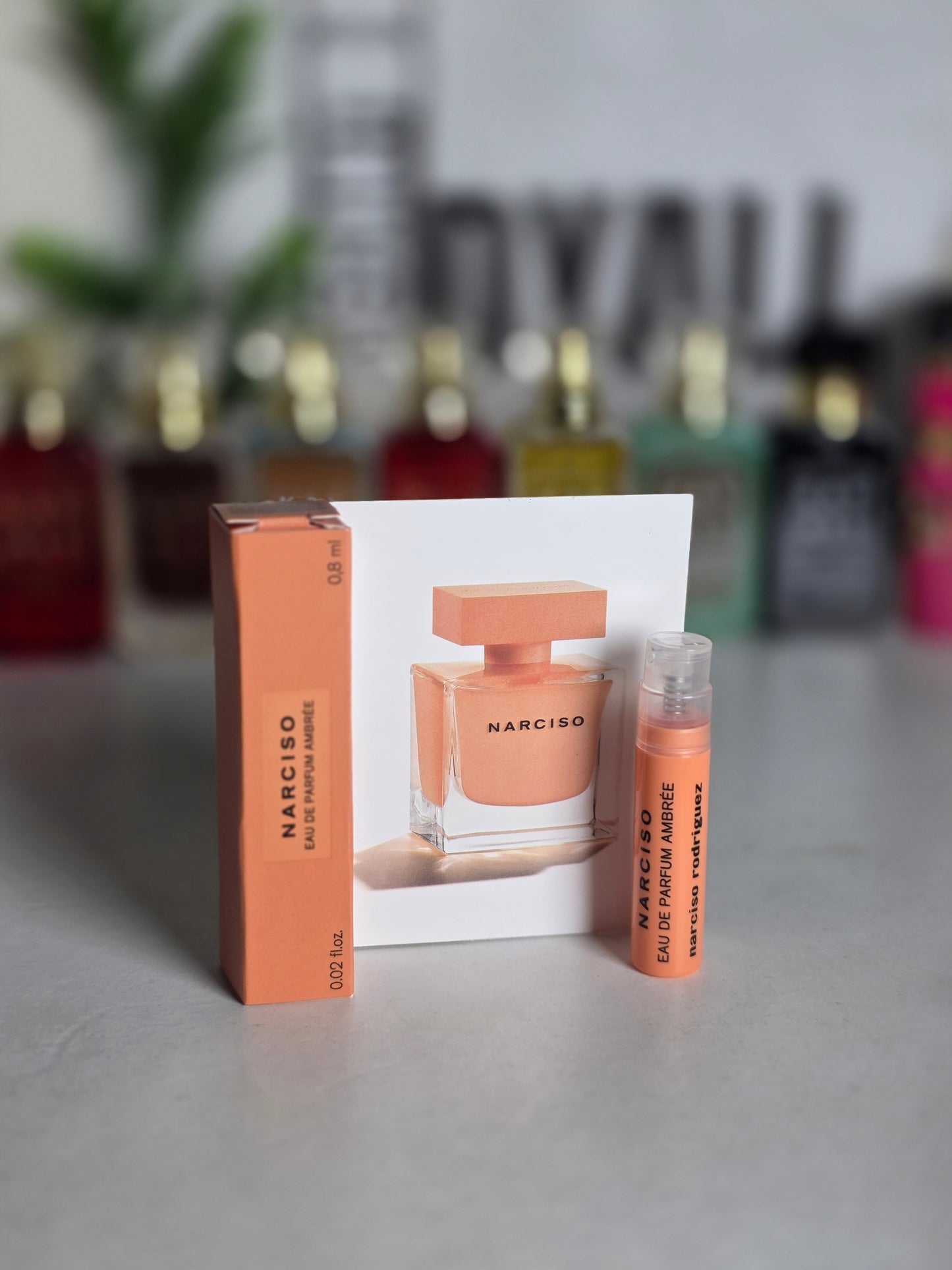 Echantillon Narciso Rodriguez Edp Ambrèe
