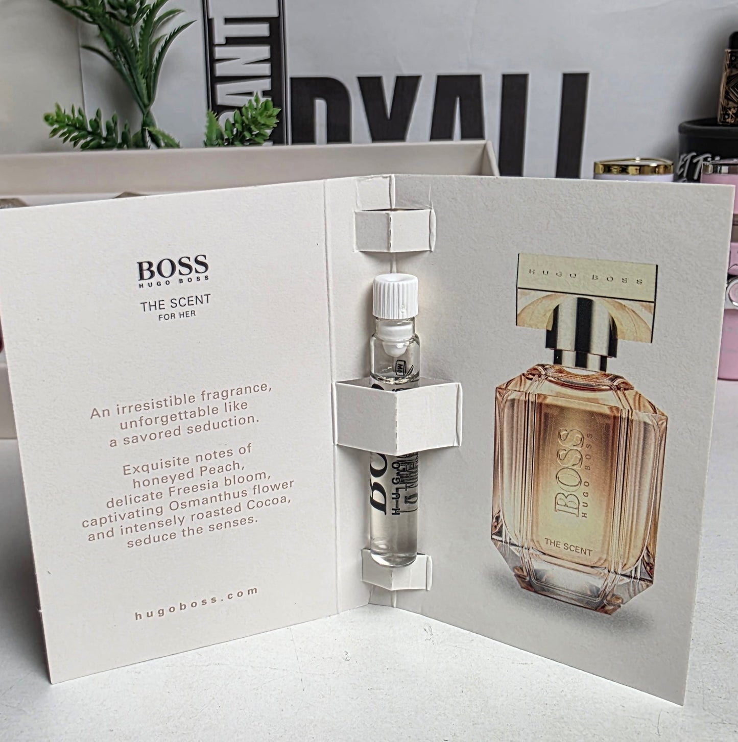 .Pack 10xEchantillons de la Semaine (Changè chaque Samedi)