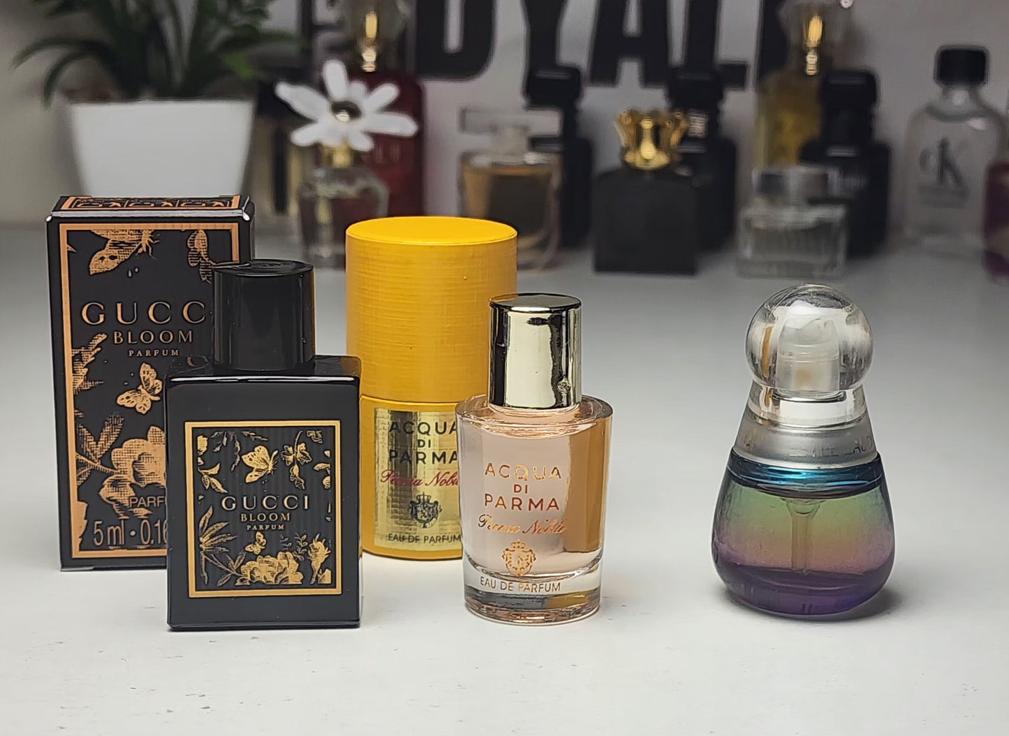 .Pack 3 Miniatures Gucci + Ester Lauder + Acqua Di Parma